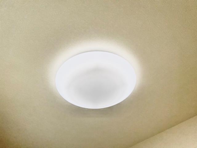 シャディナス 照明