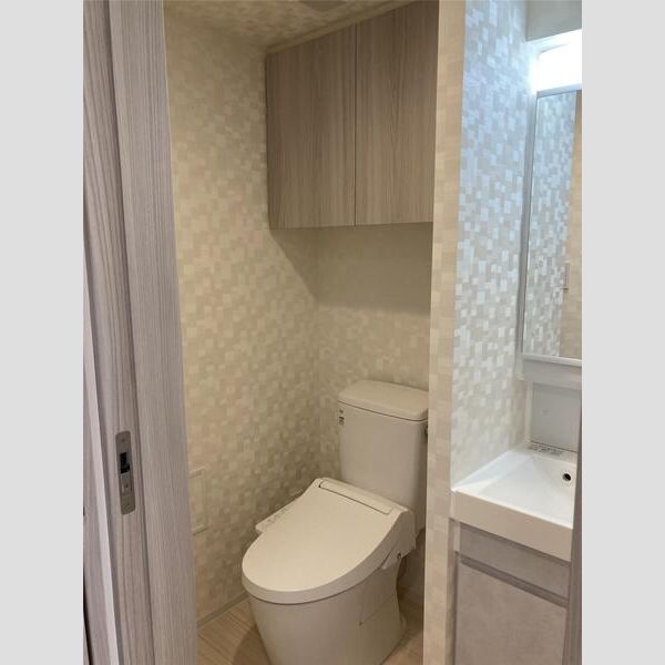 S-RESIDENCE瑞江102号室 トイレ