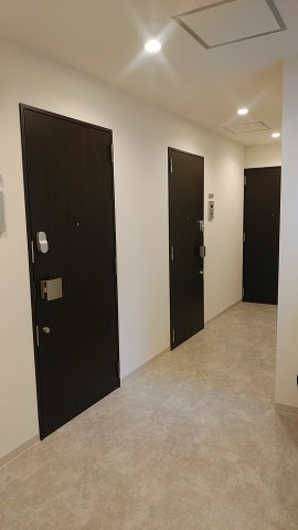 noiful base駒込201号室 廊下　参考写真