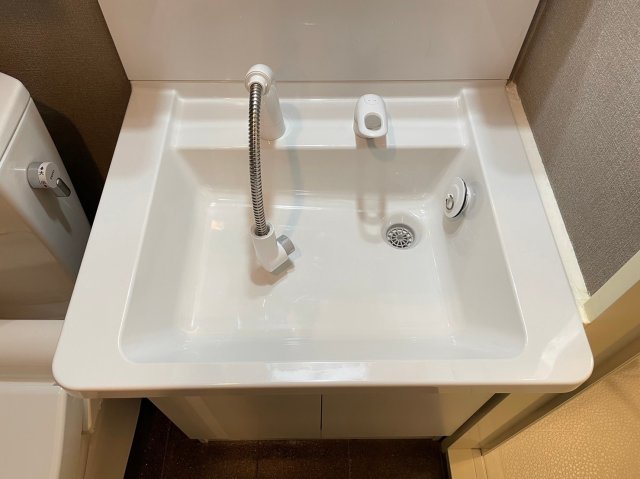 ブレシア銀座イースト904号室 洗面