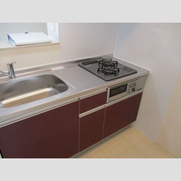 South　Regina 203(キッチン)