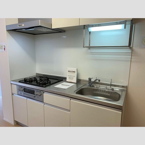 LUANA湘南102号室 システムキッチン