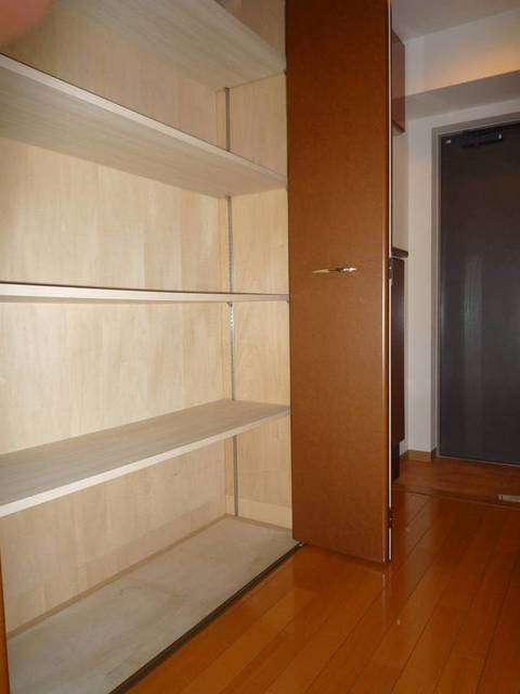 グランド・ガーラ南大井9階 十分な収納スペースがあります