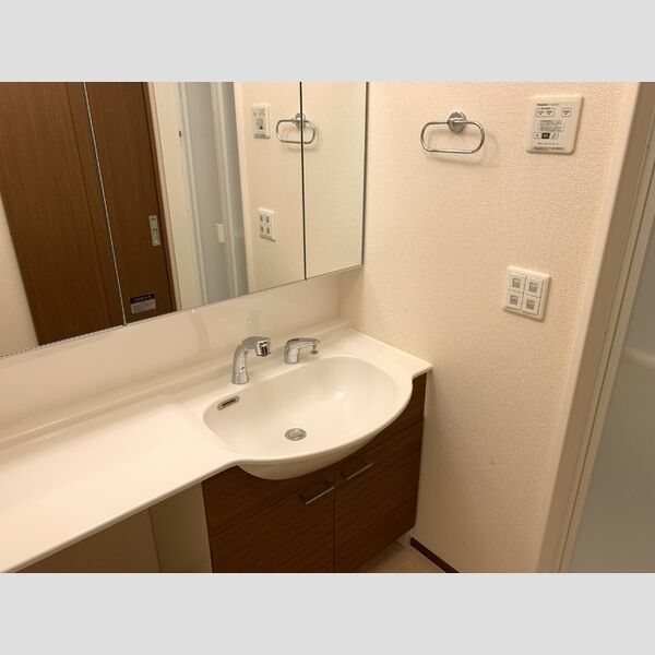Bricks Lake Town103号室 洗髪洗面化粧台