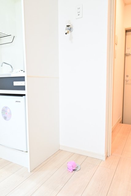 イルビラージュ仲六郷 室内洗濯機置場