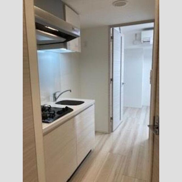 S-RESIDENCE新御徒町East902号室 キッチン