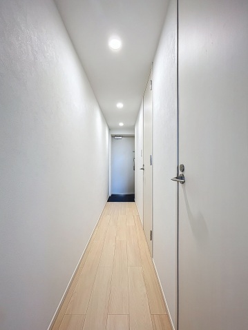 スカイコートリュクス品川大崎401号室 内観