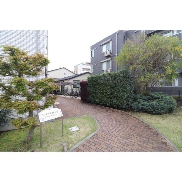 コリーヌ梶ヶ谷303号室 エントランス