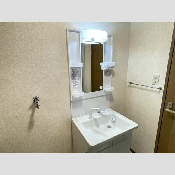 アリュール　B203号室 洗面所　洗髪洗面化粧台