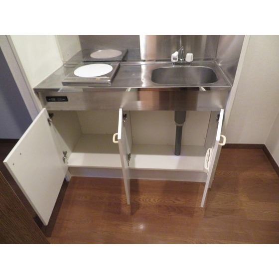 ラ・フロレスタ壱番館0202号室 キッチン下収納