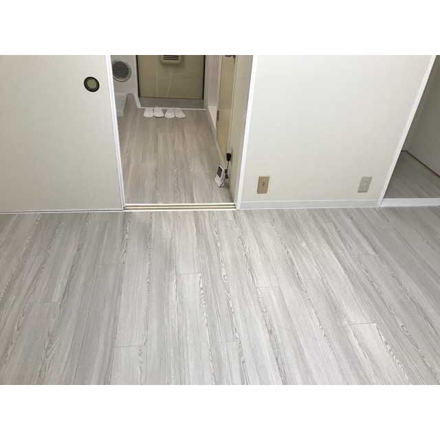 リエス伊勢原107号室 リビング