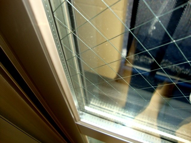 ロイヤル　パピヨン ペアガラス