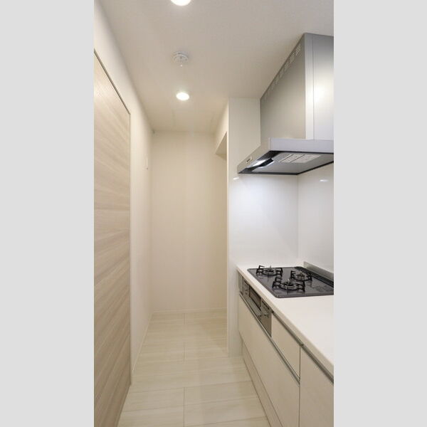 ビーネ北坂戸102号室 キッチン周辺