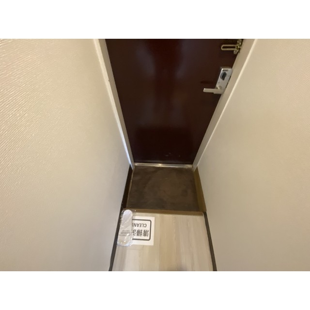 ネルソンパートⅤ 玄関