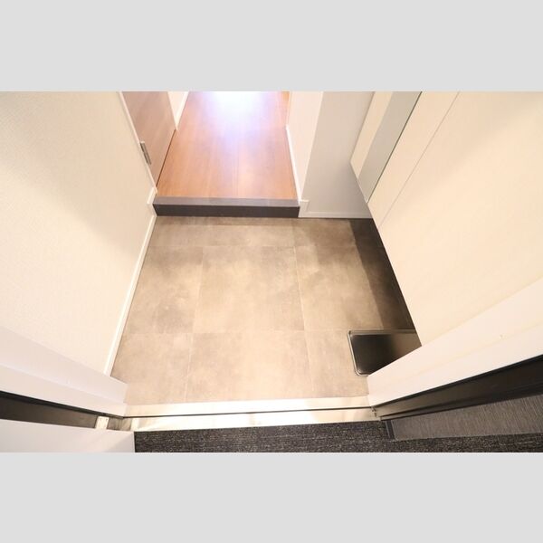 グレースクレスト八潮603号室 玄関