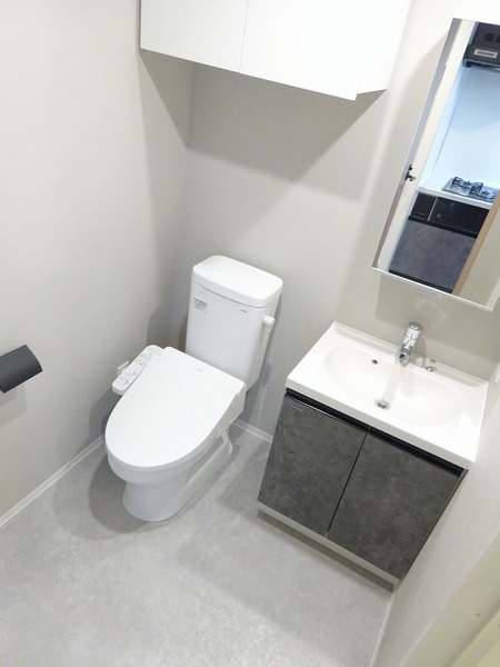 アイルイムーブル亀戸204号室 トイレ