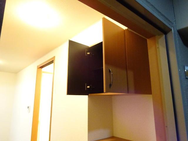 ロイヤルヒルズ宮崎台206号室 シューズボックス
