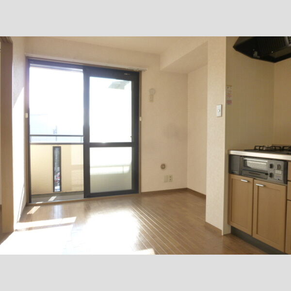 プランドール市川303号室 DK