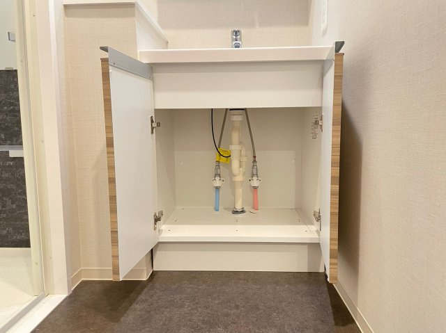 DIPS上板橋211号室 洗面