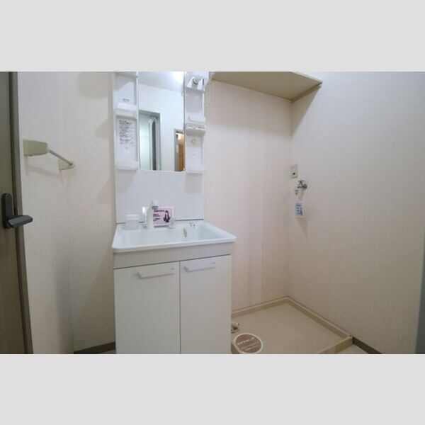 メゾン・ド・ラフィーネ　A102号室 洗髪洗面化粧台