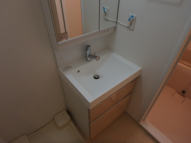 エテルノ西葛西0501号室 洗面