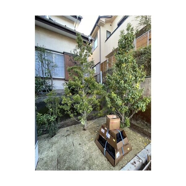 テラスハウス井荻101号室 部屋その他