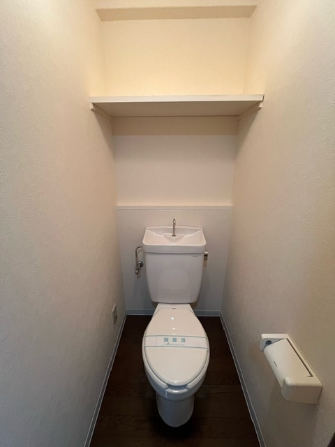 Ｂｉｇ　Ｔｈｒｏｕｇｈ トイレ