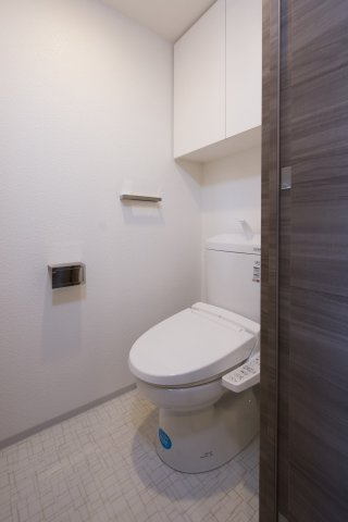 DIPS墨田RIVERSIDE203号室 トイレ