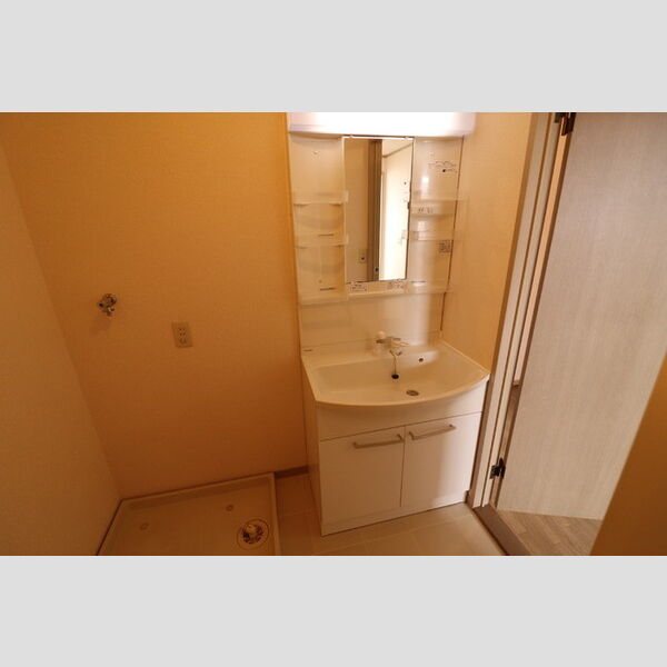 プリシェール桜坂201号室 洗面室