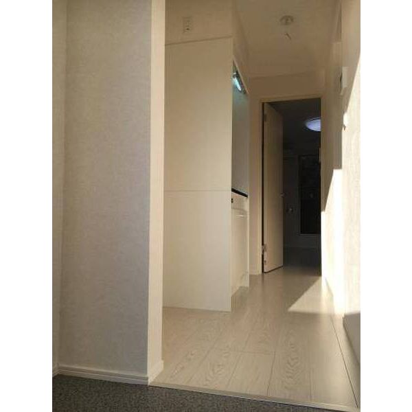 ラ・カンパネラ中央林間0303号室 玄関