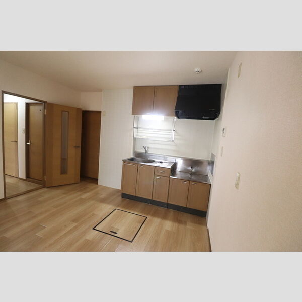 パークサンハイム102号室 DK