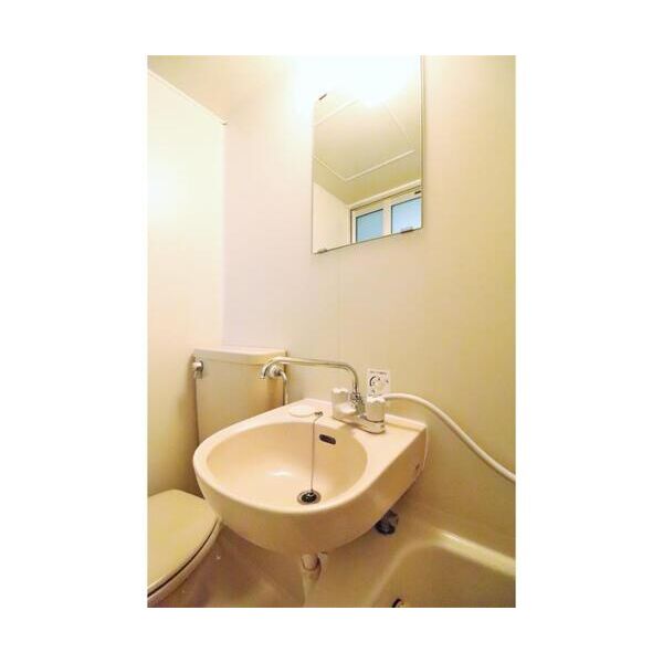 グリーンシャトル103号室 洗面