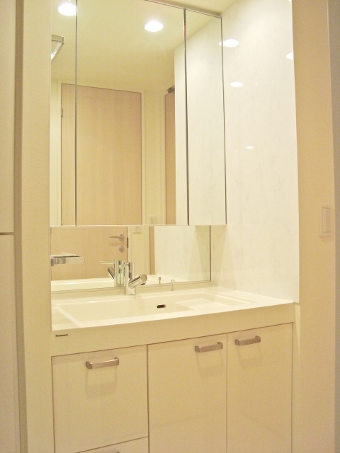 イニシアイオ芝公園202号室 洗面