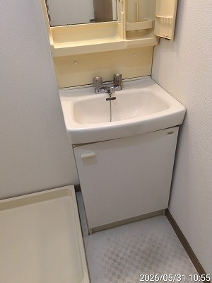 カーザ・ヴェルデ 収納もできる洗面台