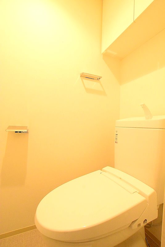 BREEZE MAISON HIKAWADAI トイレ