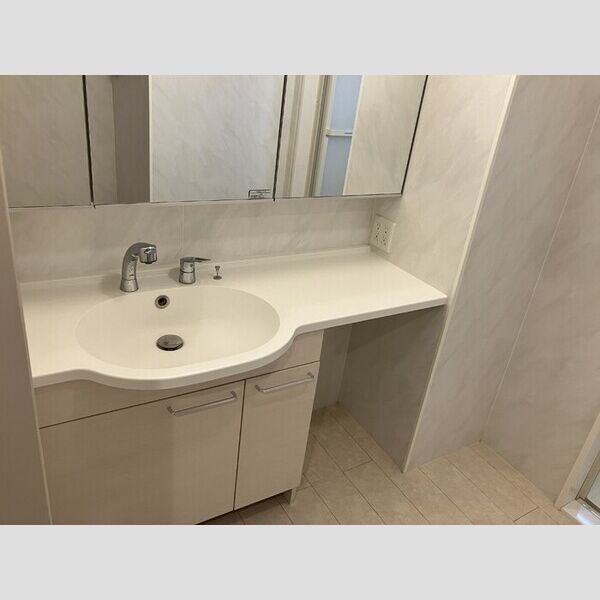 リバーサイド・レジデンス 洗髪洗面化粧台