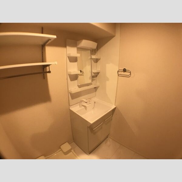 D-room殿町205号室 洗髪洗面化粧台