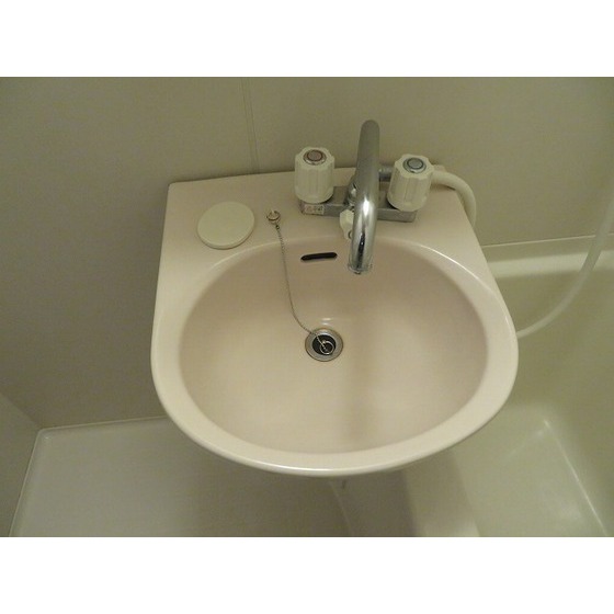 エステート東池袋 洗面ボール