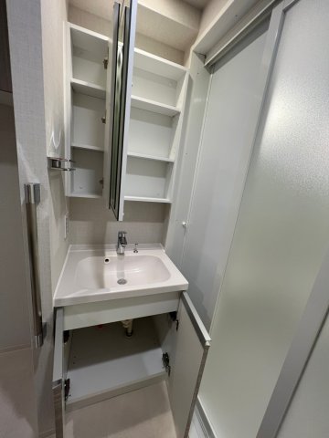 DIPS野方204号室 洗面