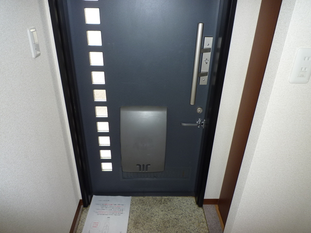 スカイハイツⅠ0101号室 玄関