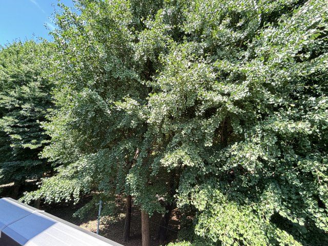 Ｐａｒｋ　ｓｉｄｅ　Ｎａｒｉｍｕｎｅ0201号室 展望