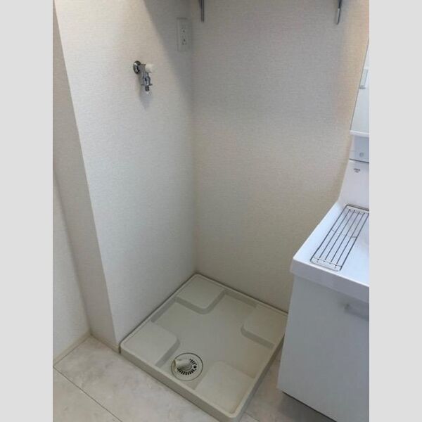 ルミナス ハイム203号室 洗濯機置き場