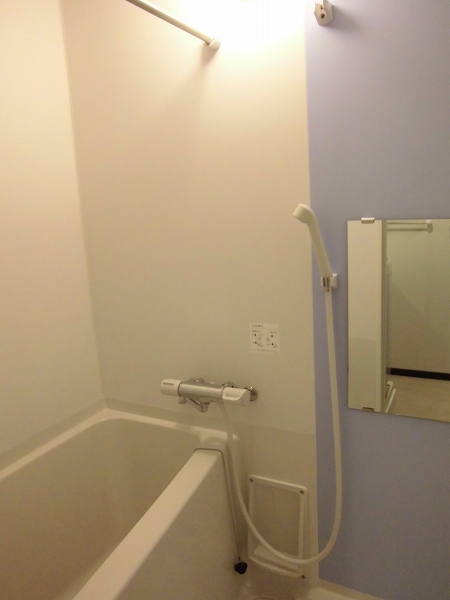 レオネクストｗｉｎ　ｂｏｏｍ209号室 お風呂