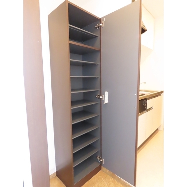 ＣＯＬＩＮＡ203号室 シューズボックス