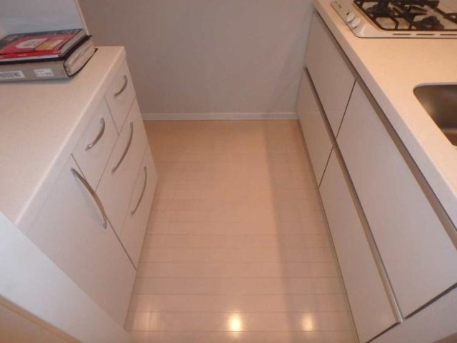 デュオ・スカーラ西麻布タワーＥＡＳＴ キッチン