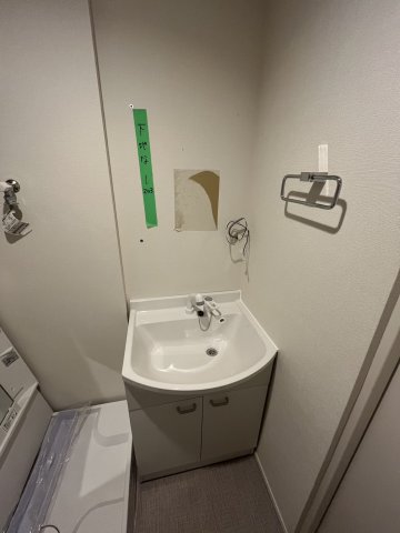 ハーモニーテラス北小岩ⅩⅧ0203号室 洗面