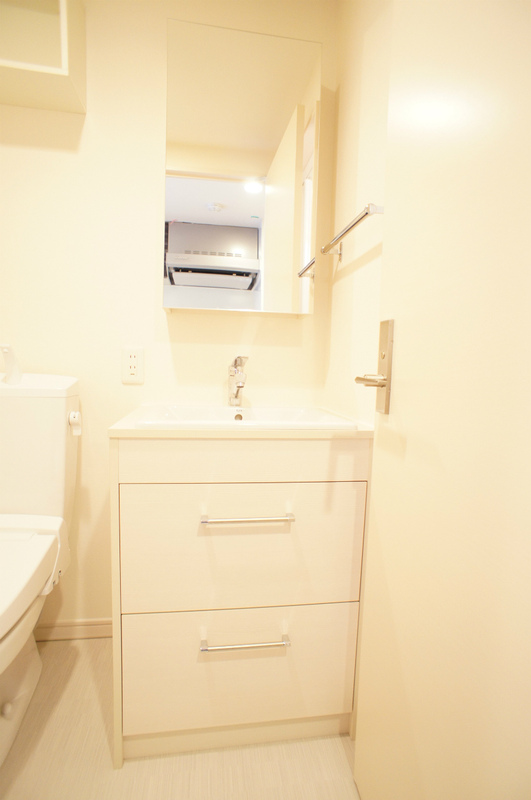 リブリ・エフ 洗面