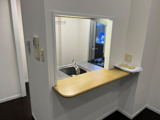 SYNEX SHINAGAWA-EBARA1101号室 ※過去退去時のお写真です