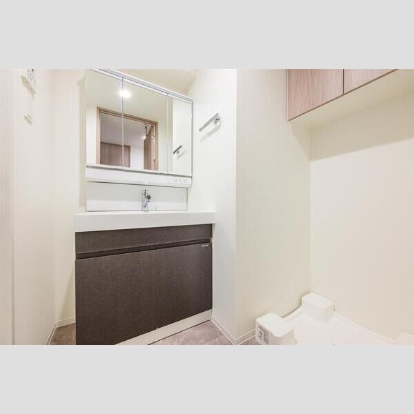 S-RESIDENCE千住大橋706号室 洗面