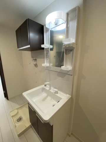 ベイルームヒルズ川崎102号室 洗面